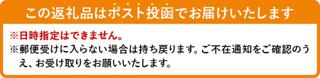 ＜お試し＞半生うどん (300g/極太・つゆ付) お試し 讃岐うどん 本場 うどん 本場 讃岐 さぬき 香川県 麺 コシ 常温 常温保存 【man163】【こんぴらや販売】
