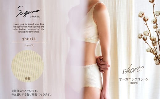 SuganoORGANICショーツ3点セット Sサイズ 緑 綿 SUAオーガニックコットン100％ | オーガニック コットン 下着 ショーツ マタニティ 緑 Sサイズ 農薬不使用 化学肥料不使用 締め付けない やわらかい 保湿性 保温性 フィット 国産 肌に優しい スガノ工房 肌着 奈良県 御杖村 みつえむら