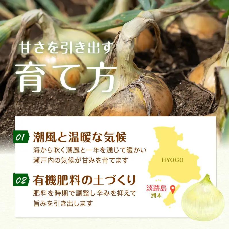 新玉ねぎ 極早生 3kg うしろ農園 甘い 新玉ねぎ