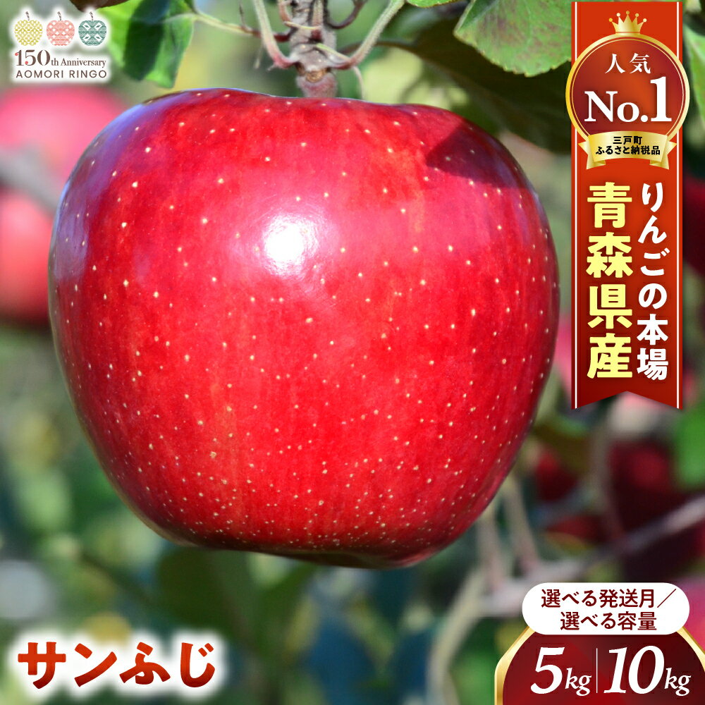 人気ナンバー1 りんご サンふじ 14〜20玉 約5kg(12月中旬以降発送分)