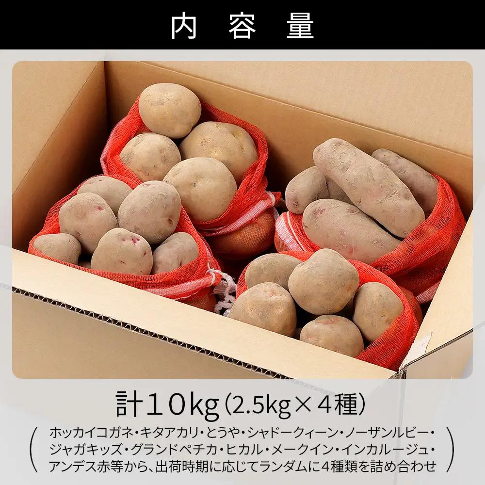 2026年産 北海道産 おまかせ じゃがいも 4種セット 計10kg（2.5kg×4種） 北海道 上士幌町 加藤農場 野菜 ジャガイモ 馬鈴薯 産地直送 ◆2026年12月配送予定