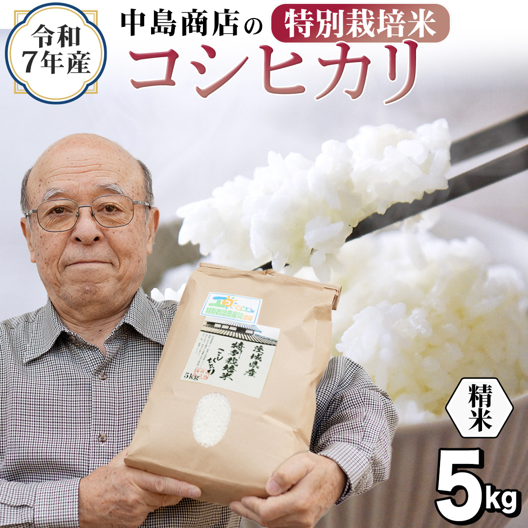 令和7年産 茨城県産 精米 特別栽培米 コシヒカリ 5kg （5kg×1袋） 白米 こしひかり 米 コメ こめ 単一米 限定 茨城県産 国産 美味しい お米 おこめ おコメ[EH32-NT]