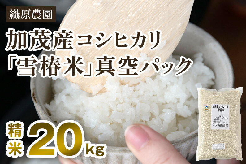【ふるさと納税】【令和7年産】新潟産コシヒカリ「雪椿米」特別栽培米 精米20kg （5kg×4袋）《順次出荷》 白米真空パック 従来品種コシヒカリ 加茂市 織原農園