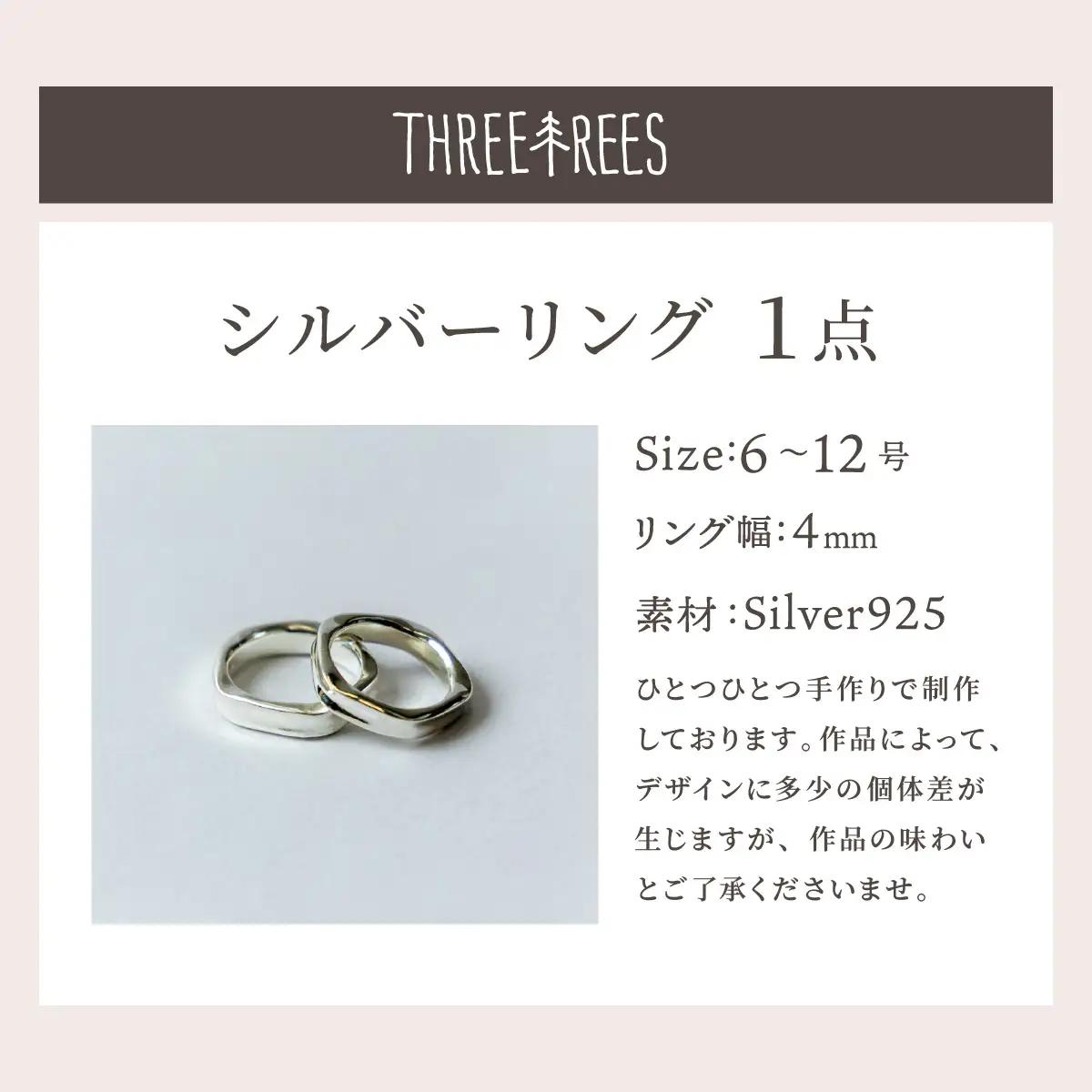 【日常のアクセントに】シルバーリング  LS-05  / マット / 6号