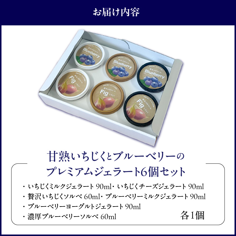 甘熟いちじくとブルーベリーのプレミアムジェラートセット 各1個 碧南市産 甘熟 いちじく 完熟 ブルーベリー 贅沢 スイーツ デザート おやつ カップ 6種 食べ比べ チーズ ミルク ヨーグルト H1