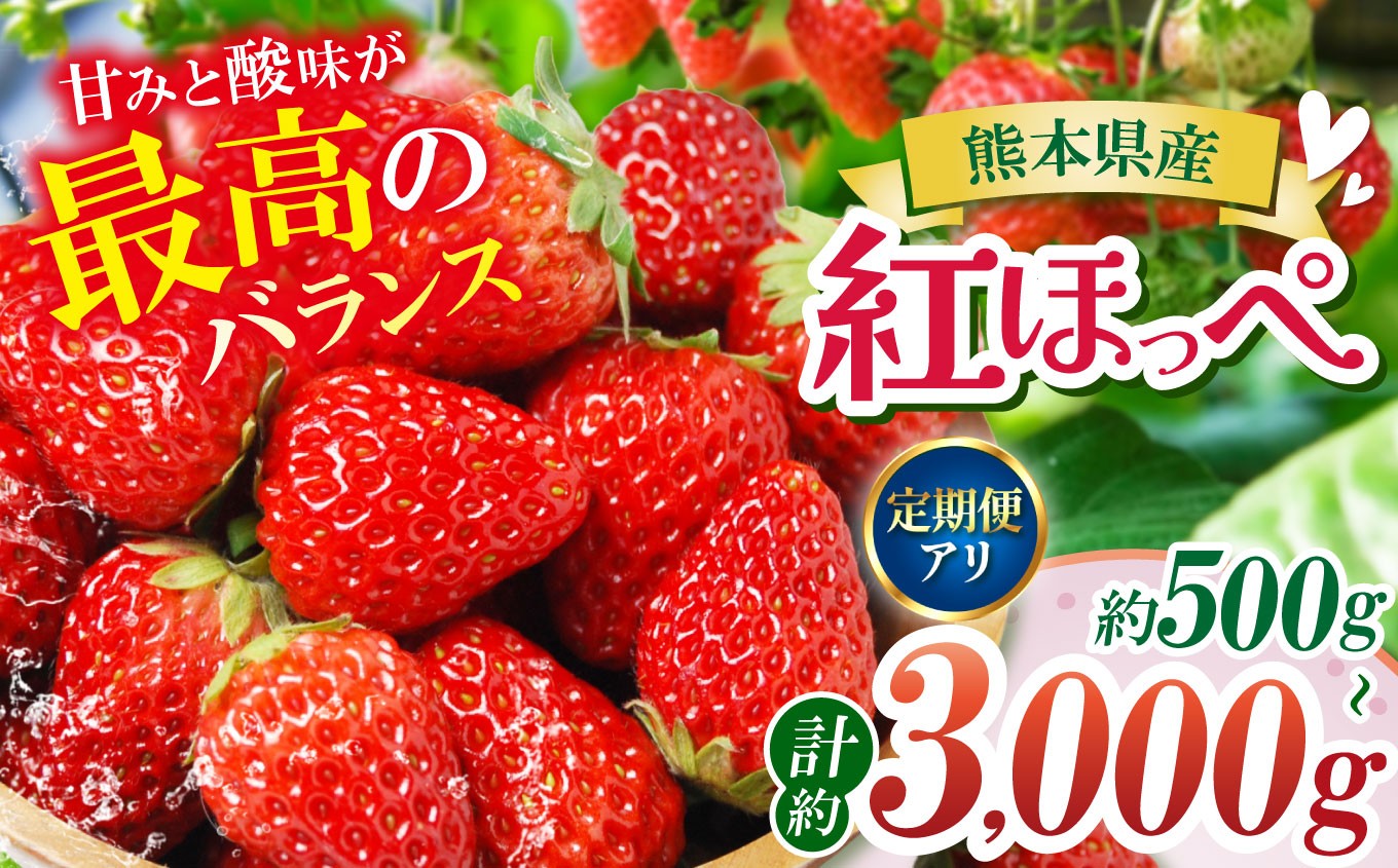
                  熊本たまな産 紅ほっぺ 約 500g ～ 3,000g 選べる 容量 発送回数 | フルーツ 果物 くだもの いちご 苺 イチゴ 人気 産地直送 熊本県 玉名市 
                