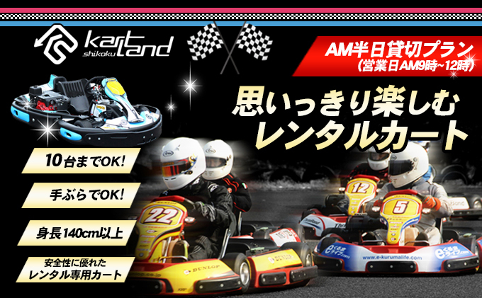 
[№5911-0307]思いっきり楽しむレンタルカート　AM半日貸切プラン(営業日AM9時～12時　10台まで)
