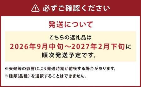 【厳選品】岩手にのへじゃがいも「伝」3～4種 品種おまかせ (サイズ混合) 5kg 【2026年9月中旬から2027年2月下旬発送予定】／ジャガイモ じゃがいも 芋 イモ ポテト 野菜 お取り寄せ 農