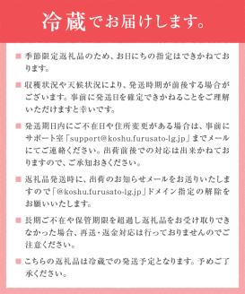 甲州市産シャインマスカット2房 約1kg 瑞々しい美味しさのまま発送します【2024年発送】（VYD）B13-885