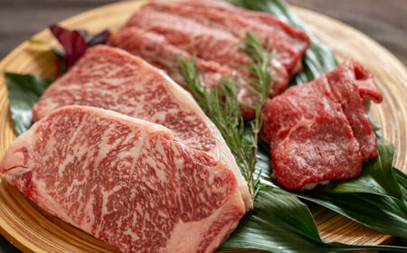 土佐あかうし サーロイン ステーキ 約400g（約200g×2）/ 贈答用 あかうし 土佐 土佐和牛 和牛 牛 肉 お肉 食品 冷凍 高知 【高知県食肉センター株式会社】[ATFC028]