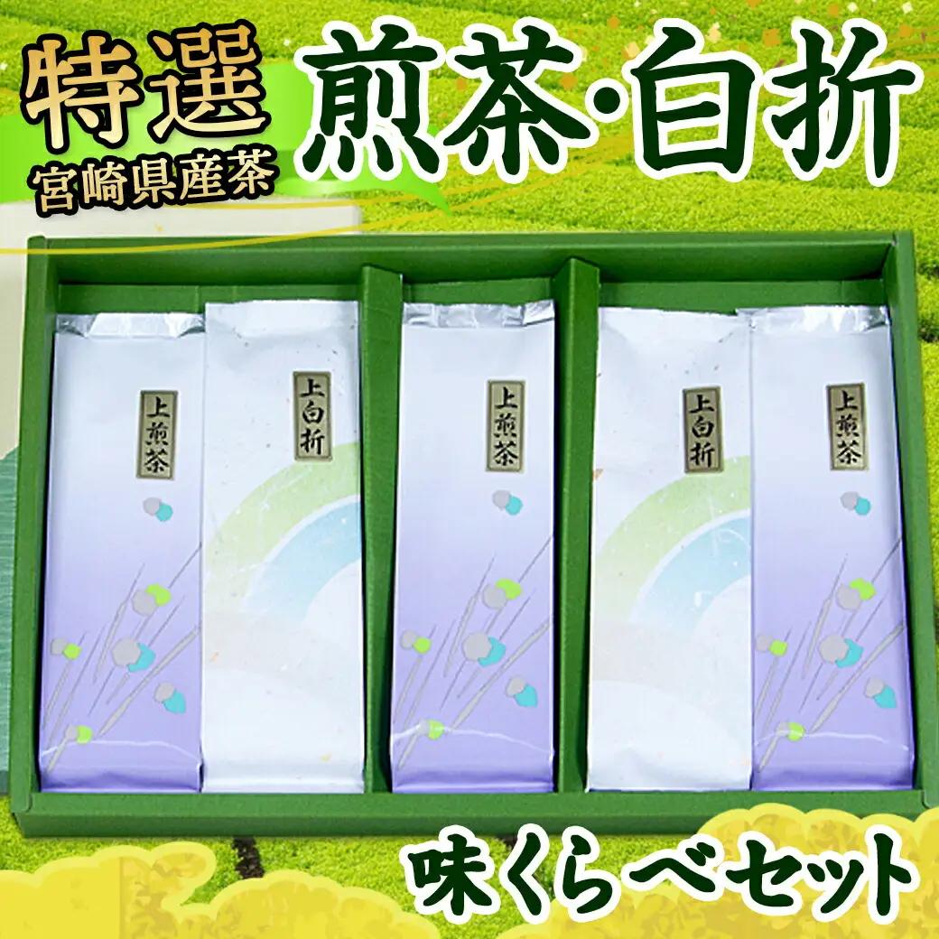 ≪特選茶≫煎茶・白折味くらべセット_MJ-4804_(都城市) 茶葉 上煎茶 100g×3本 上白折 100g×2本 お茶の産地 都城盆地 最高級品 ホット 冷茶 日本茶 せんちゃ しらおれ