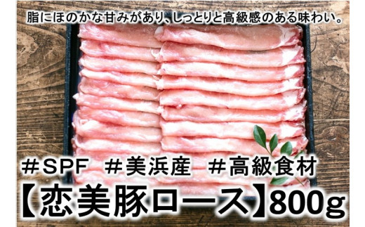 
1.6キロ!の【しゃぶしゃぶ】ブランド豚【SPF豚肉】【恋美豚】【しゃぶしゃぶ】2種の食べ比べ味わいセット ※北海道・沖縄・離島の方は量が異なりますので、下記内容量欄で確認してください。
