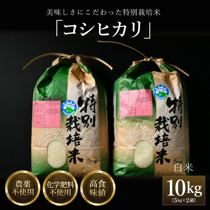 【ふるさと納税】コシヒカリ 精米 5kg×2袋（計10kg） 特別栽培米 令和6年産 令和7年産 農薬不使用 化学肥料不使用 ／ 米 お米 10kg 10キロ 高品質 福井県産 ブランド米 白米
