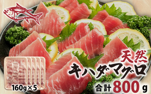 天然 キハダまぐろ切身 800g 160×5パック まぐろ 鮪 刺身 赤身 肉 鉢マグロ ネギトロ マグロ漬け 海鮮丼 丼 寿司 鉄火丼 手巻き寿司 魚 海鮮 魚介 おつまみ おかず まぐろ 冷凍 小分け 個包装 お取り寄せ 国産 送料無料 ふるさと納税 千葉県 銚子市 和田水産