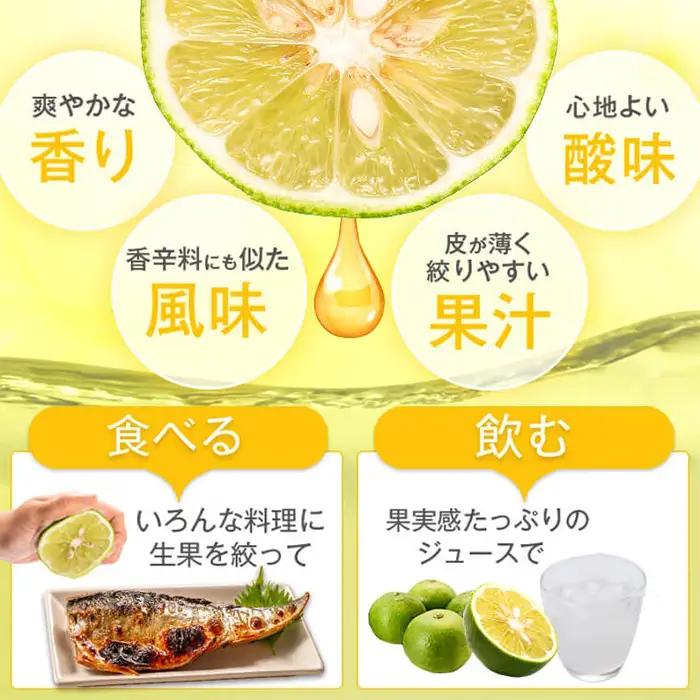 辺塚だいだい 青果 2kg 鹿児島 国産 橙 柑橘 果物 フルーツ【NPO法人 陸の宝島・岸良】P20001