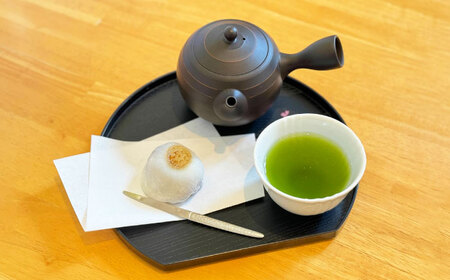 れんこん大福10個入り 常温 菓子 和菓子 大福 愛西市 / 茶菓専科ひなた[AECO003-2]