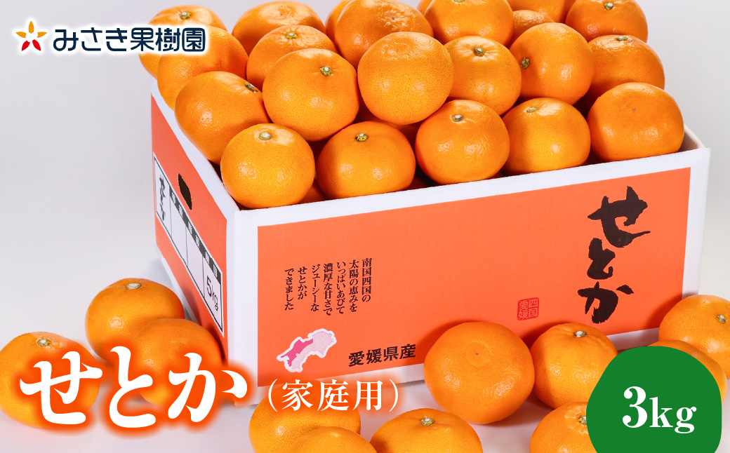 【先行受付】【家庭用】せとか3kg【C21-55】YWTBC036
