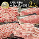 【ふるさと納税】 宮崎県産 豚肉 バラエティ 4種 セット 2.5kg 《様々な料理にお使いいただけます！》【 肉 豚肉 豚 ロース バラ 切り落とし 国産 九州産 ステーキ とんかつ しゃぶしゃぶ 送料無料 G7523】