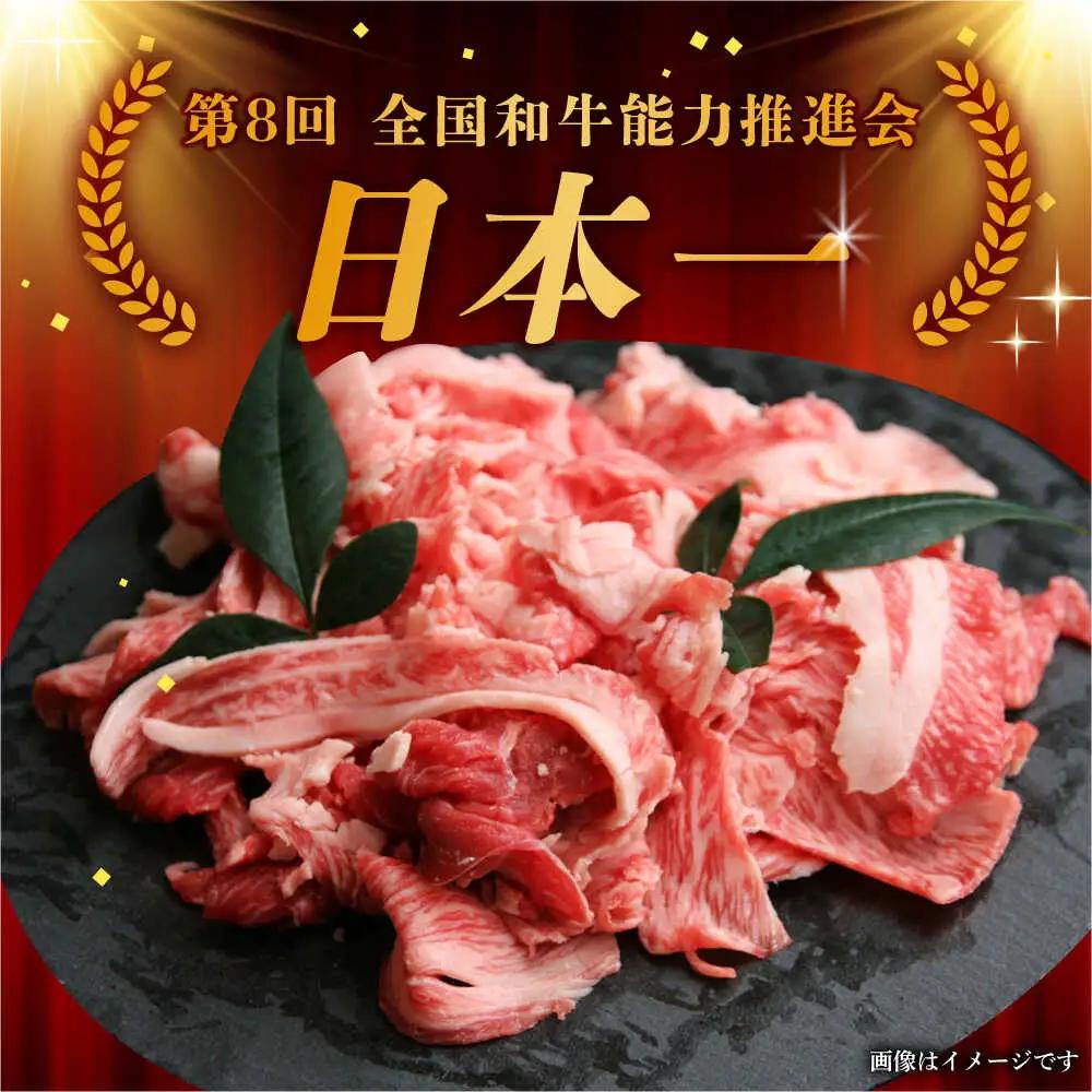 【10月発送】【飛騨牛】 切り落とし 1kg 和牛 ブランド牛 国産 牛肉 多治見市 / 渡辺精肉店 [TAZ005-10]