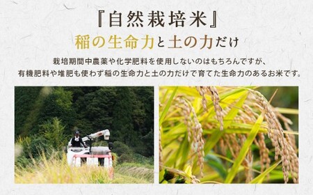 【令和7年産】さとうファームの自然栽培米（玄米5kg）ふっくら つやつや おいしい 美味しい 贈り物 単一原料米