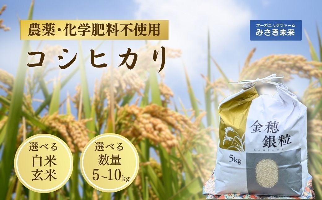 
             令和7年産 新米 コシヒカリ 選べる容量 5kg～30kg 白米・玄米 単品 / 定期便 | 無農薬 農薬不使用 化学肥料不使用 白米 精米 玄米 お米 米 こめ コメ 福島産 福島県産 南相馬 みさき未来
          