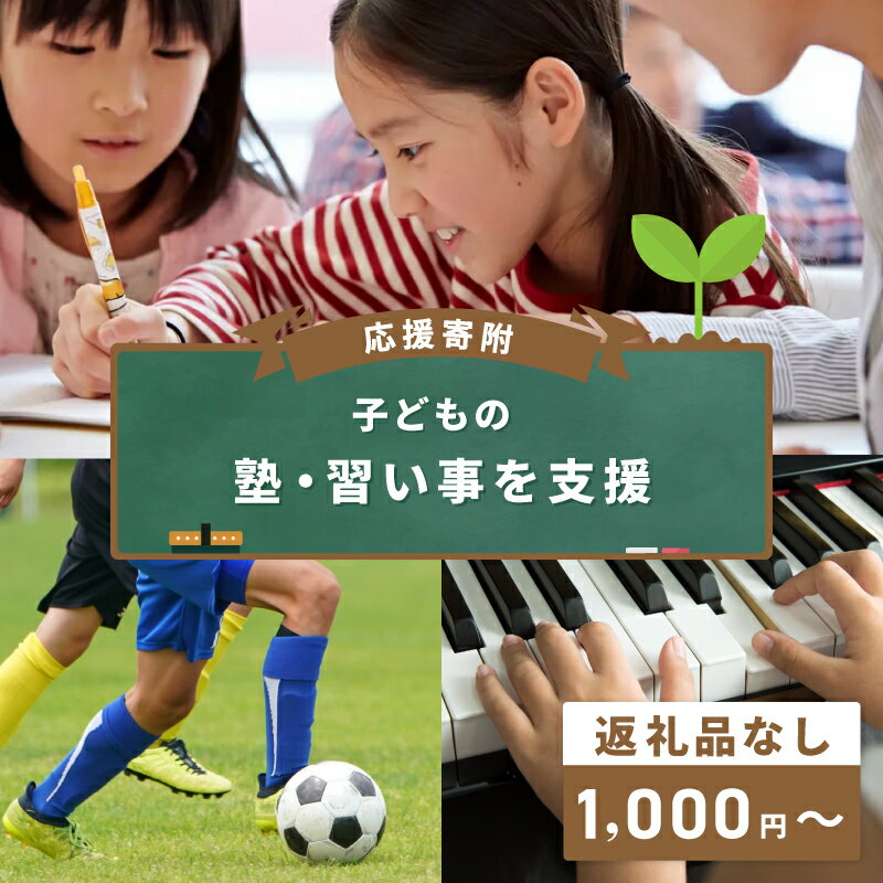 【ふるさと納税】【返礼品なし】 教育格差の解消をめざす 子どもの塾 習い事を支援する 応援寄附 寄附額 1000円 10000円 30000円 50000円 100000円 子育て こども 子育て支援 塾 学習塾 習い事 スポーツ 文化 地域支援 地域活性化 寄附のみ 寄附 支援 大阪府 泉佐野市