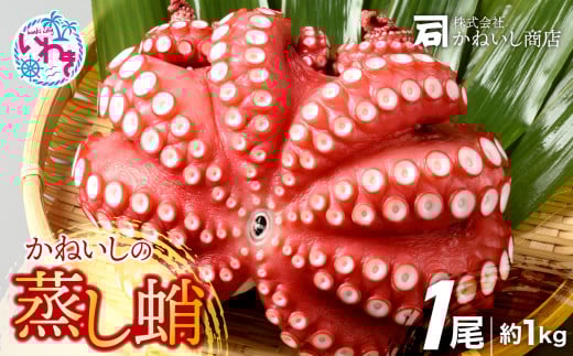 【特大】蒸しタコ 1尾 約1kg ( 丸ごと ) そのまま食べられる！ 刺身 カルパッチョ たこ焼き にも！ 福島県 いわき市 海鮮 魚介 タコ たこ 蛸 かねいし