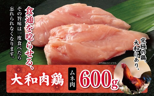 AM6 大和肉鶏 ムネ肉 600g | 大和かしわ 鶏 肉 にく むね かしわ 鶏肉 とり 奈良県 大淀町