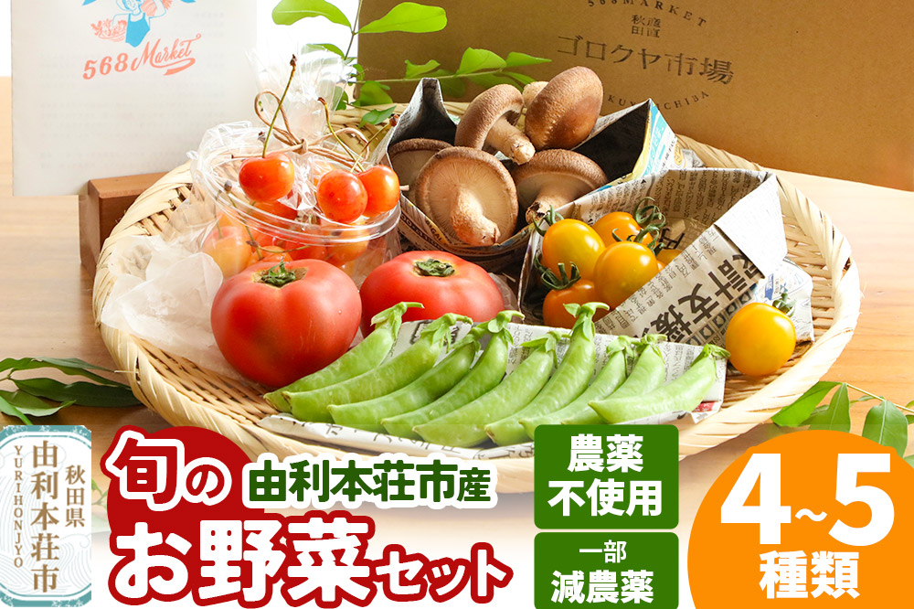 旬のお野菜セット 秋田県 由利本荘市産 栽培期間中農薬不使用 減農薬 [野菜 セット 季節野菜 旬野菜 お野菜 山菜 果物 栽培期間中 農薬不使用 春夏秋冬 秋田県 由利本荘市]