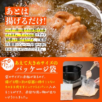 ふるさと納税 佐伯市 時短おかず 揚げるだけ やわらか!ジューシー!塩からあげ (計2kg・500g×4P) |  | 03