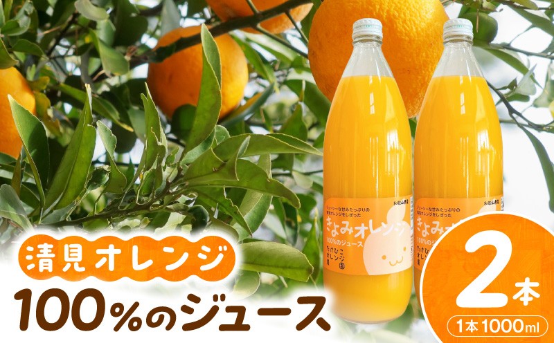 
                  【数量限定】清見オレンジ１００％のジュース(ストレート)　1,000ml×２本セット_AB8348
                
