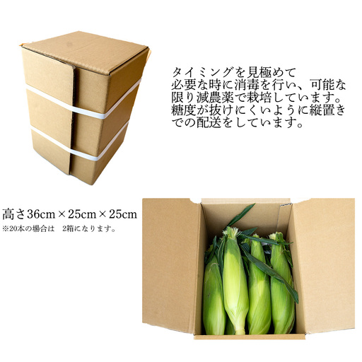 とうもろこし ドルチェドリーム10本 