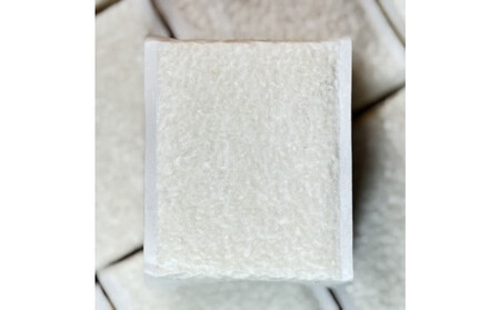 【令和７年産】南魚沼産 笠原農園米 ゆうだい２１　２合真空パック２０個【簡易包装】