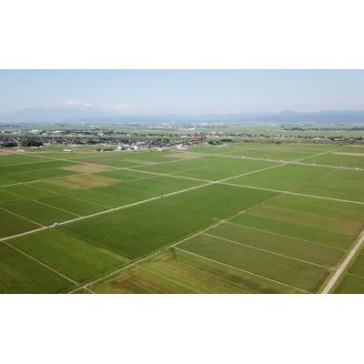 ふるさと納税 三川町 【令和7年産】新鮮パックつや姫 精米 20kg(5kg×4袋) HM1-008 |  | 03
