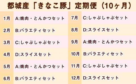 「きなこ豚」定期便(10ヶ月)_T80（10）-1201