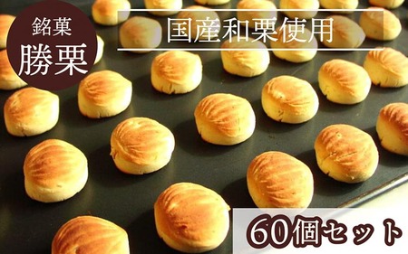 京都の縁起菓子 勝栗 60個セット 和菓子 和菓子