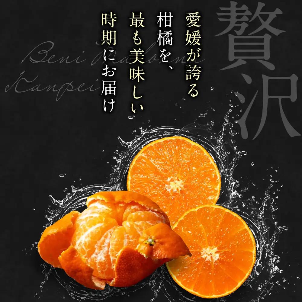 紅まどんな【全2回定期便】紅まどんな＆甘平 約3kgずつ[AGAO013]