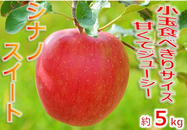 
            【013-45】令和7年10月上旬頃発送　信州のりんご　シナノスイート　厳選！小玉食べきりサイズ！　約5キロ
          