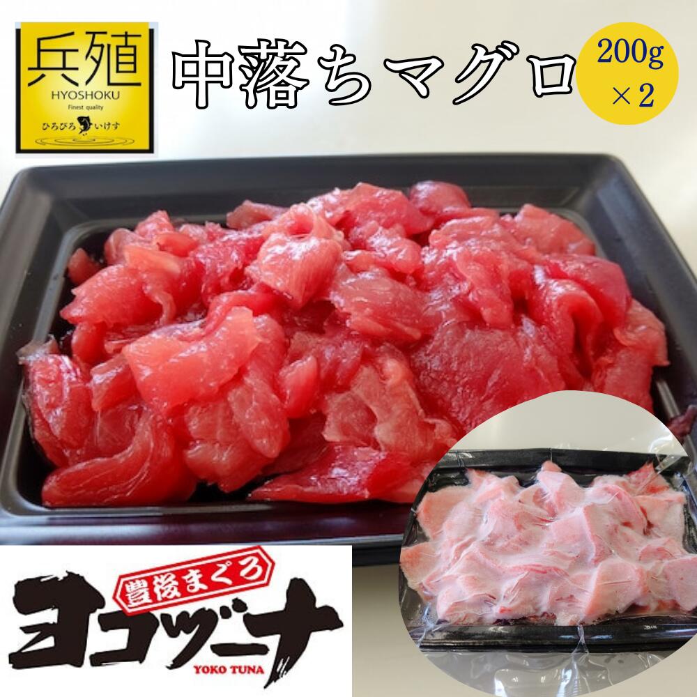 【ふるさと納税】豊後まぐろ ヨコヅーナ 中落ち 200g×2 本鮪 本マグロ 海鮮丼 希少部位 刺し身 盛り合わせ 冷凍 新鮮 漬け丼 大分県産 九州産 津久見市 国産 送料無料