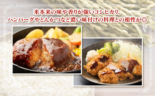 【令和7年度米】【6ヶ月定期便】富山県 うおづ産米「コシヒカリ」10kg（5kg×2袋）（精米）｜6ヶ月定期便 6回 6ヶ月 こしひかり こめ コメ お米 おこめ 白米 精米 雪解け水 香り うまみ 