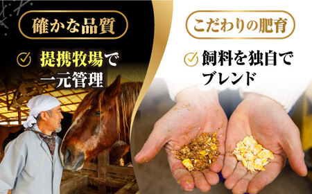 【3回定期便】ご家族で楽しめる「さくらセット 」【株式会社  利他フーズ】 馬肉 馬刺し ユッケ 熊本県 特産品 熊本 くまもと 赤身  霜降り 冷凍馬刺し 馬刺し定期 馬刺し定期便 馬刺しセット熊本