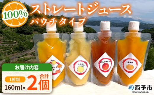 ＜100％ストレートジュース パウチタイプ 160ml×2個（1種類×2）＞『1か月以内に順次発送予定』果物 くだもの フルーツ 柑橘類 みかん 蜜柑 ミカン みかんジュース 飲料 渡江から一歩を踏み出す会 愛媛県 西予市【常温】