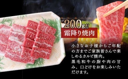 黒毛和牛　上村和牛ステーキ＆焼肉セット　国産牛肉　カミチク＜1.6-8＞