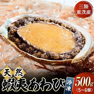 【先行予約】三陸重茂産　天然 蝦夷あわび(2号品)500g(冷凍)【配送不可地域：離島】