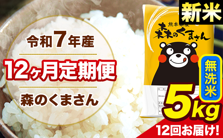新米 米 令和7年産 森のくまさん【12ヶ月定期便】 無洗米 5kg 5kg×1袋 計12回お届け 《1月から出荷開始》 お米 こめ 熊本県産 ご飯 備蓄