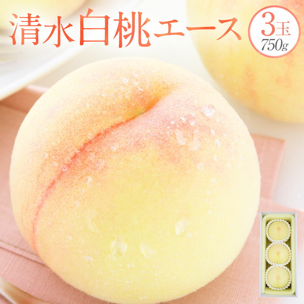 【ふるさと納税】清水白桃 エース 3玉 約750g 白桃 桃 もも モモ 果物 くだもの フルーツ おやつ デザート 冷蔵 岡山県産 岡山県 美咲町 送料無料【2025年7月上旬～7月下旬発送予定】