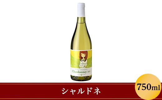 
            シャルドネ 750ml 樽発酵 大池ワイン 1240
          