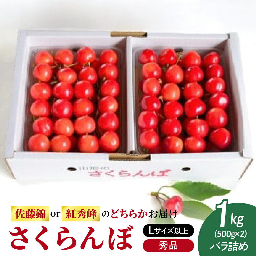 【ふるさと納税】 さくらんぼ ( 佐藤錦 か 紅秀峰 ) 1kg ( 500g × 2パック ) 秀品 Lサイズ以上 バラ詰め フルーツ 果物 産地直送 お取り寄せ 山形県 上山市 0052-2602