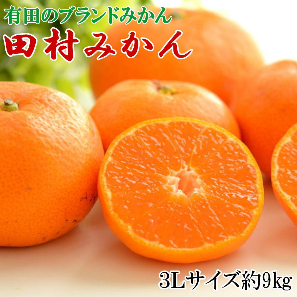【ふるさと納税】【ブランドみかん】田村みかん大玉約9kg(3Lサイズ) ※2026年11月下旬～2026年12月下旬頃に順次発送 【tecj1036】