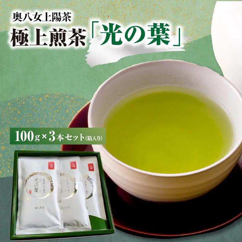 奥八女上陽茶 極上煎茶「光の葉」100g×3本セット箱 茶 お茶 八女茶 緑茶 福岡県 八女市 178-001